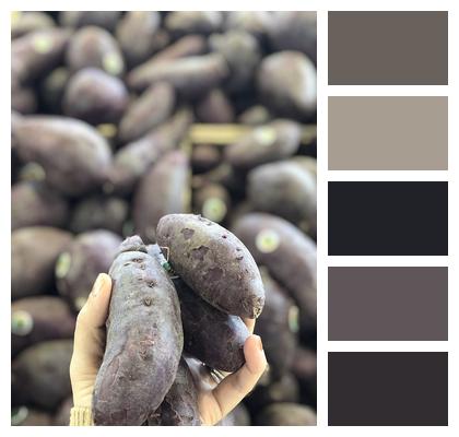 Purple Sweet Potatoes Sweet Potatoes Purple Yams Image